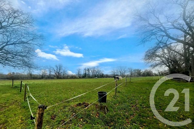 maison à vendre - 7 pièces - 188.0 m2 - SURZUR - 56 - BRETAGNE - Century 21 Beaulieu