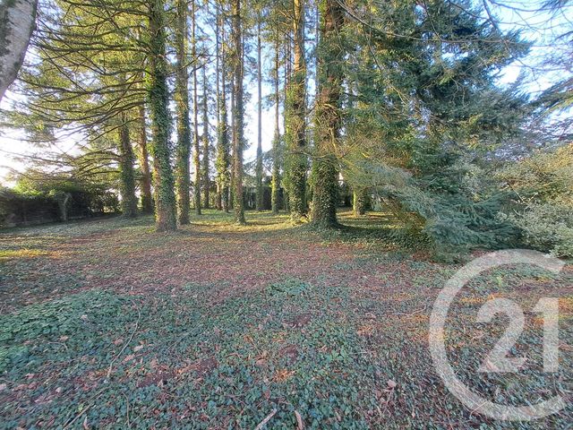 maison à vendre - 8 pièces - 162.0 m2 - ST AVE - 56 - BRETAGNE - Century 21 Beaulieu