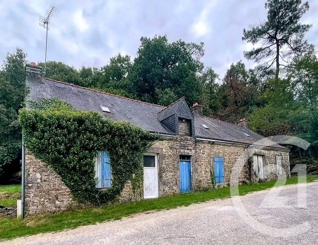 maison - ST AVE - 56